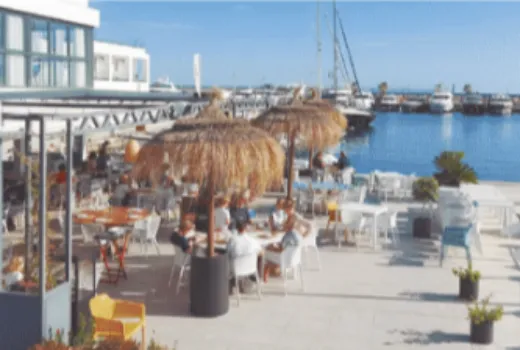 Descripción de la imagen